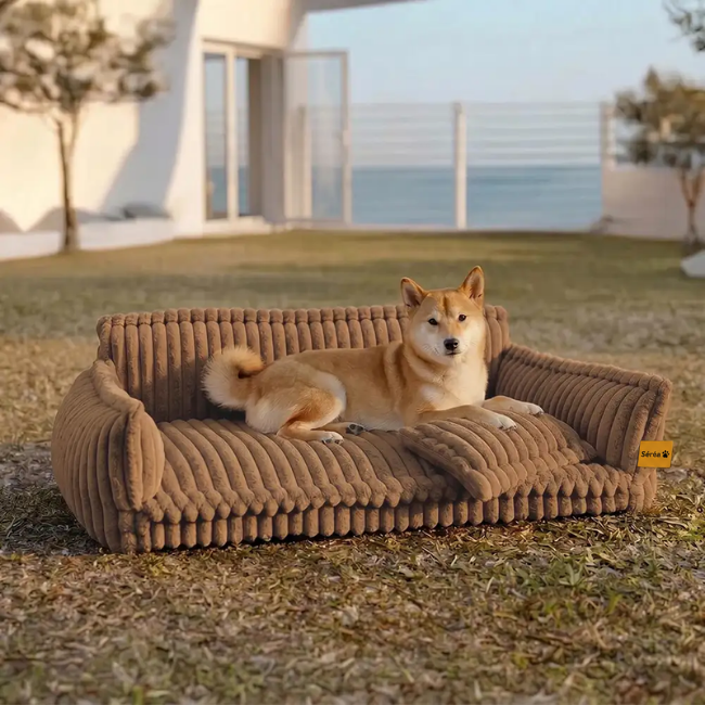 Grand coussin orthopédique moelleux et lavable pour chien, idéal pour canapé et lit - Rêve de sommeil