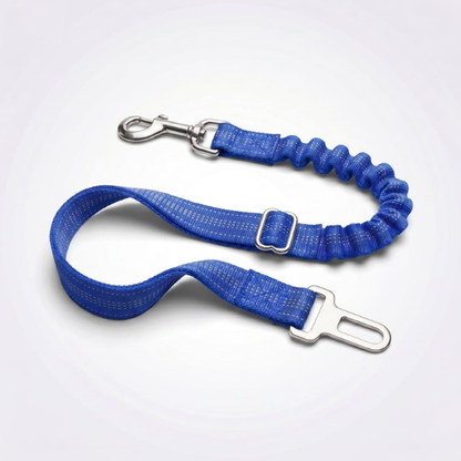 Ceinture de sécurité pour chien