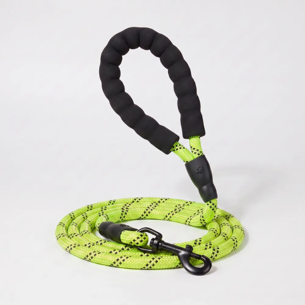 Laisse pour chien qui tire
