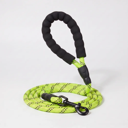 Laisse pour chien qui tire