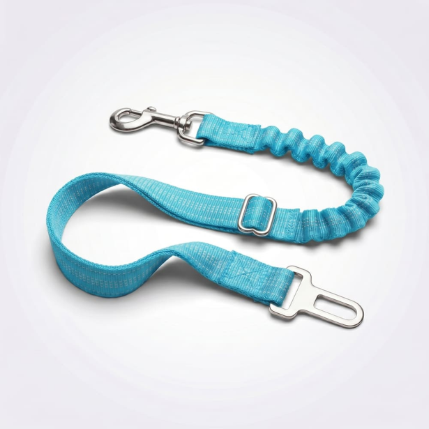 Ceinture de sécurité pour chien
