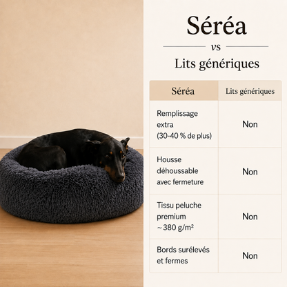 Gris foncé / L