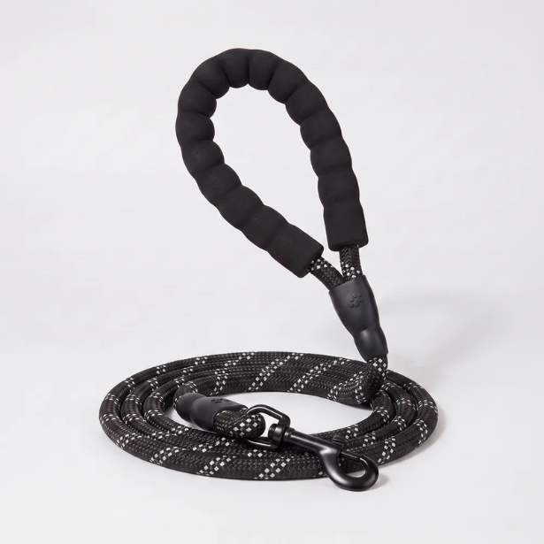Laisse pour chien qui tire
