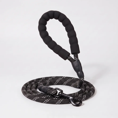 Laisse pour chien qui tire