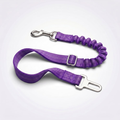 Ceinture de sécurité pour chien