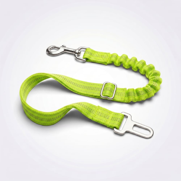 Ceinture de sécurité pour chien