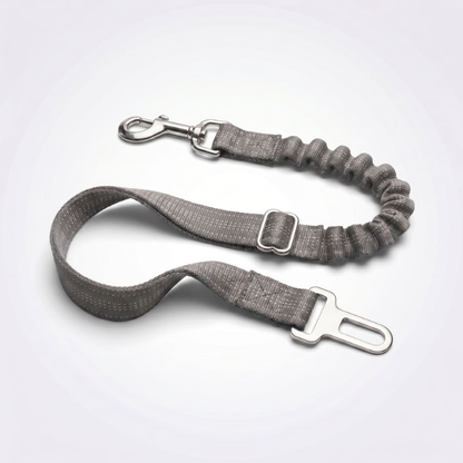 Ceinture de sécurité pour chien