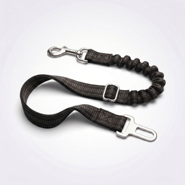 Ceinture de sécurité pour chien