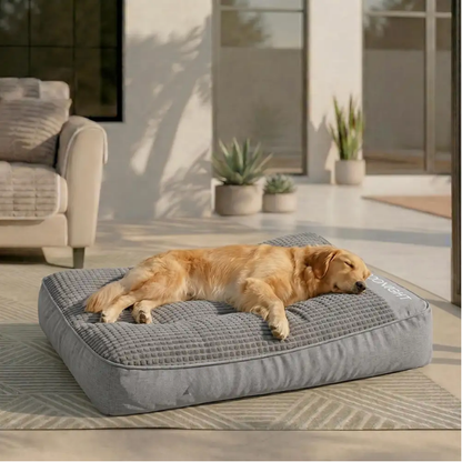 Grand coussin orthopédique extra doux et large résistant aux griffures