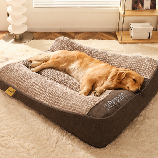 Grand coussin orthopédique extra doux et large résistant aux griffures