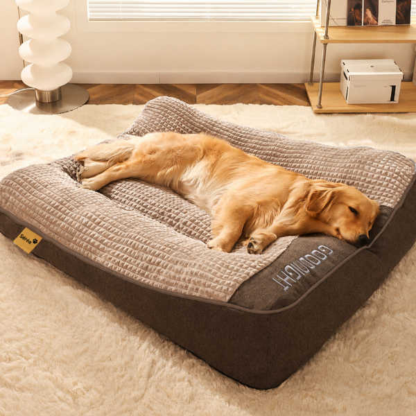 Grand coussin orthopédique extra doux et large résistant aux griffures