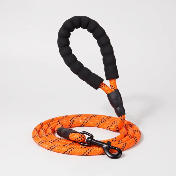 Laisse pour chien qui tire