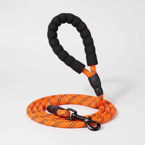 Laisse pour chien qui tire
