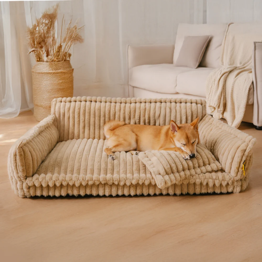 Grand coussin orthopédique moelleux et lavable pour chien, idéal pour canapé et lit - Rêve de sommeil