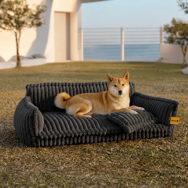 Grand coussin orthopédique moelleux et lavable pour chien, idéal pour canapé et lit - Rêve de sommeil