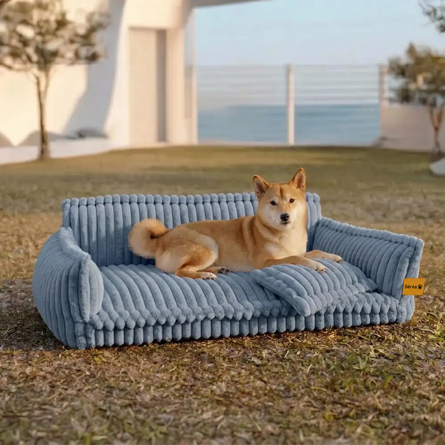 Grand coussin orthopédique moelleux et lavable pour chien, idéal pour canapé et lit - Rêve de sommeil