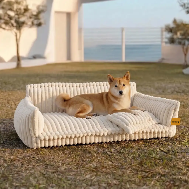 Grand coussin orthopédique moelleux et lavable pour chien, idéal pour canapé et lit - Rêve de sommeil