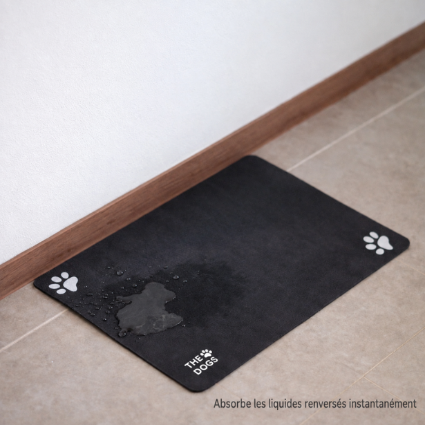 Tapis absorbant Séréa