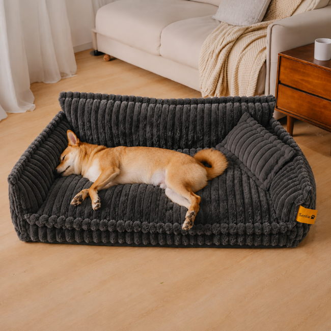 Grand coussin orthopédique moelleux et lavable pour chien, idéal pour canapé et lit - Rêve de sommeil