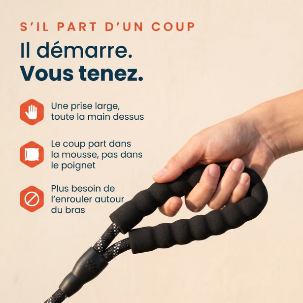 Laisse pour chien qui tire