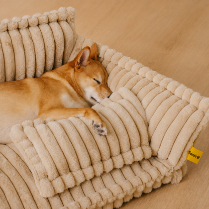 Grand coussin orthopédique moelleux et lavable pour chien, idéal pour canapé et lit - Rêve de sommeil