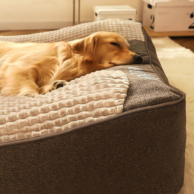 Grand coussin orthopédique extra doux et large résistant aux griffures