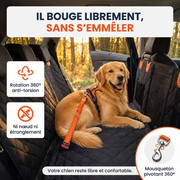 Ceinture de sécurité pour chien