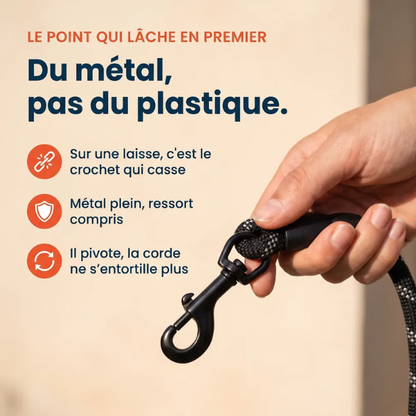 Laisse pour chien qui tire