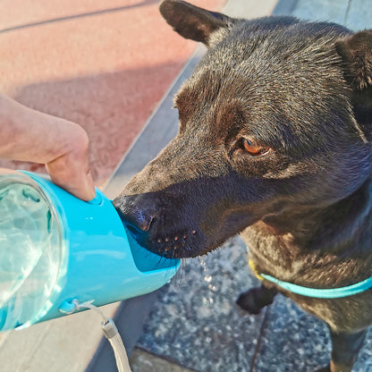 Bouteille d'eau portable pour chien en extérieur