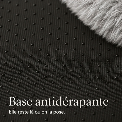 Gris claire / L, Gris claire / M, Gris claire / S, Gris claire / XL