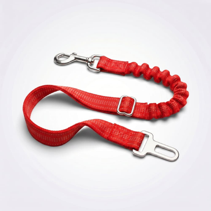Ceinture de sécurité pour chien