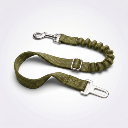 Ceinture de sécurité pour chien