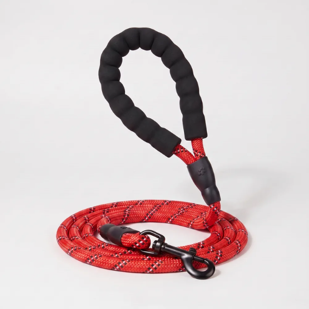 Laisse pour chien qui tire