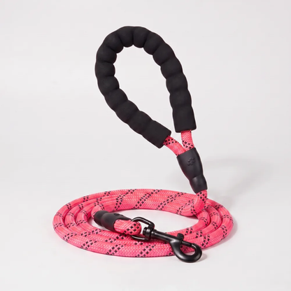 Laisse pour chien qui tire
