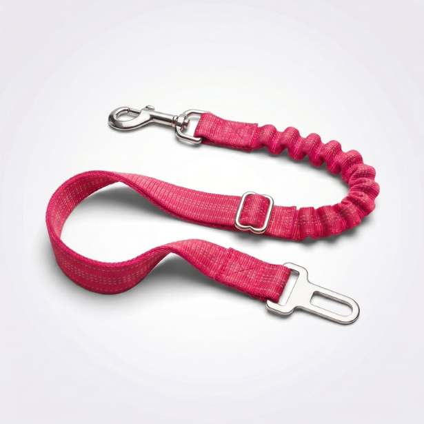 Ceinture de sécurité pour chien
