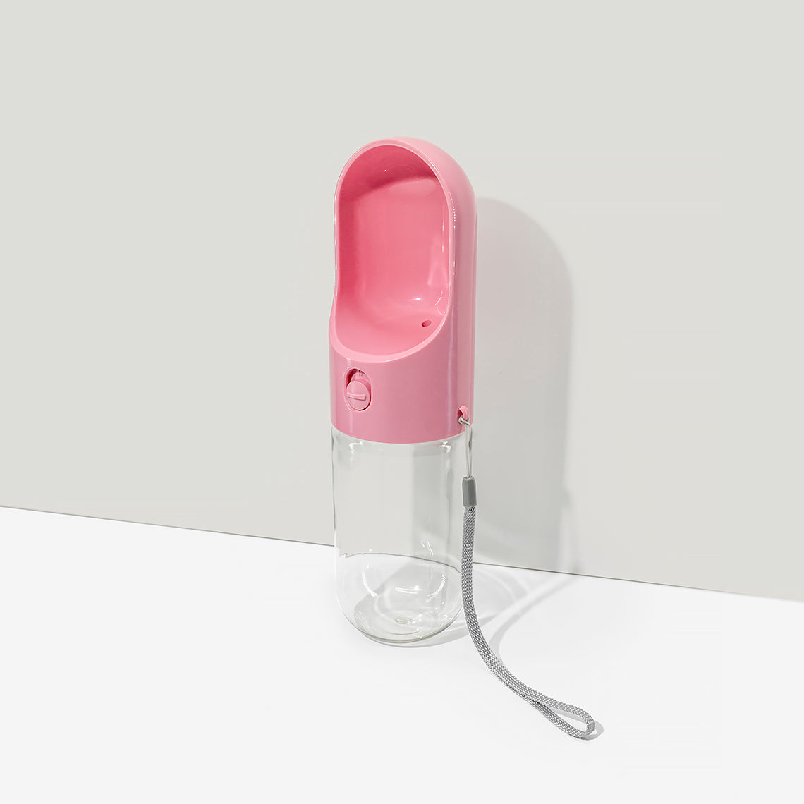 Bouteille d'eau portable pour chien en extérieur