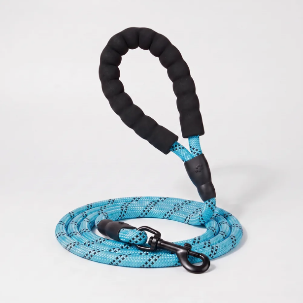 Laisse pour chien qui tire