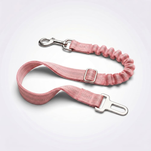 Ceinture de sécurité pour chien